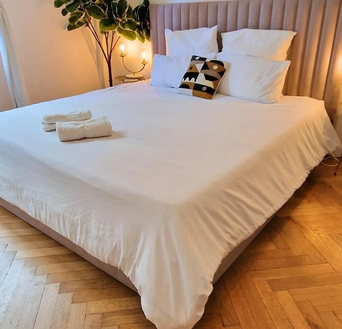 Jazzy Et Spacieux Appartement Prom Des Anglais Nice