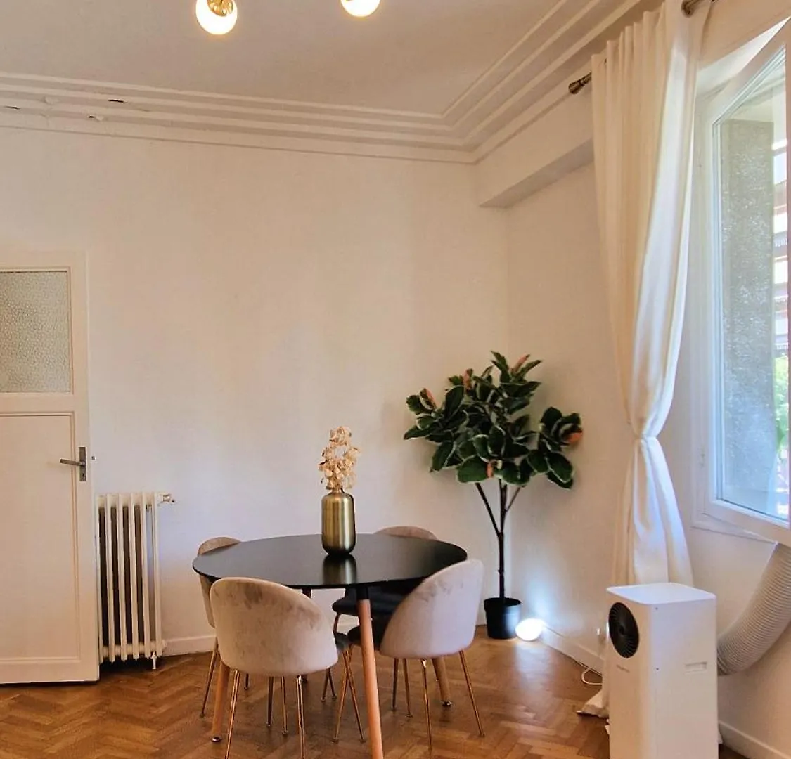 Jazzy Et Spacieux Appartement Prom Des Anglais Nice Apartment